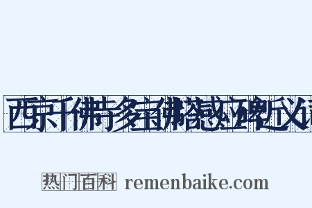 西京千佛寺多宝佛塔感应碑近义词是什么意思的图片